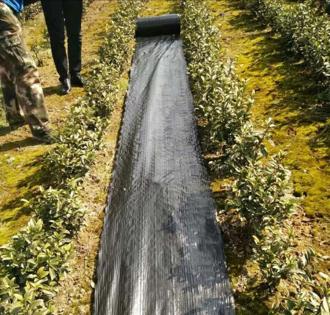 防草布、除草布